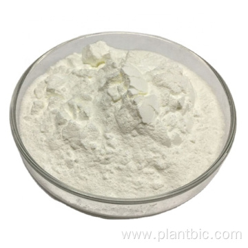 Snail Slime Extract Natural Snail Protease SnailAgglutinin Snail Slime Extract Powder